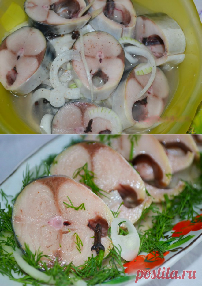 Как замариновать скумбрию