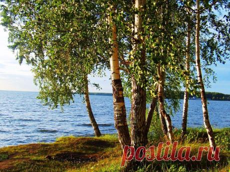 ФОТОМАСТЕРСКАЯ ПРИРОДЫ
Галина Чусовитина