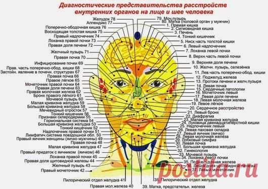 Как определить болезнь внутрених огранов по лицу