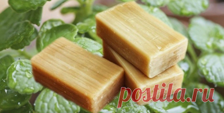 Забытое хозяйственное мыло: как его можно использовать на огороде и в саду | Удачная дача Пульс... Этот раствор также эффективен, как профилактическое средство от трипсов, тли, паутинного клеща. Во время приготовления можно добавить немного гербицида, например, Актеллик. Концентрация его будет...