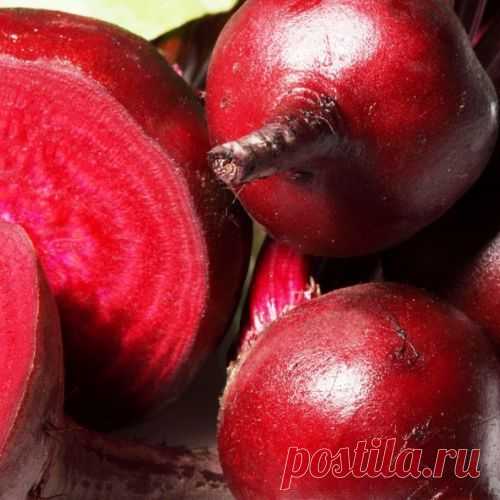 Свекла и её полезные свойства