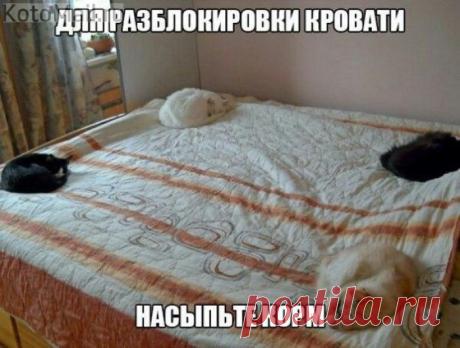 У каждого свой угол