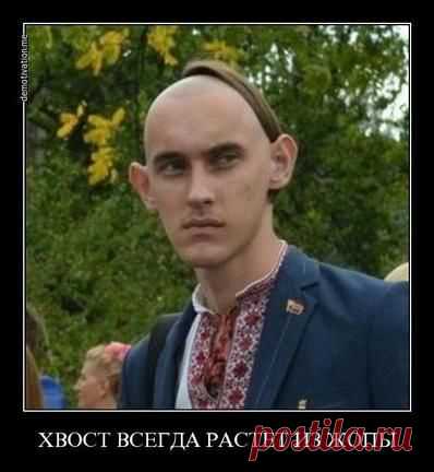 Об анатомии / news2.ru