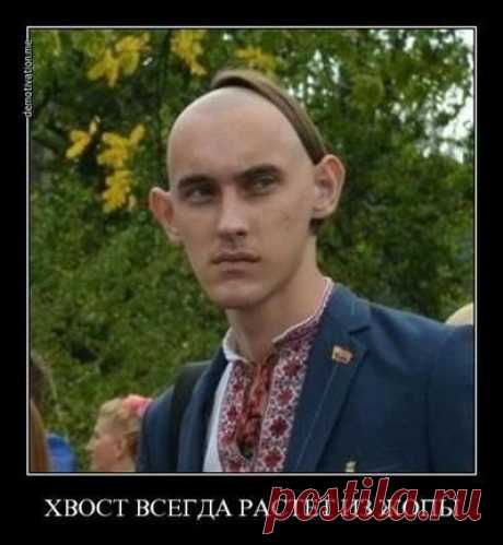 Об анатомии / news2.ru