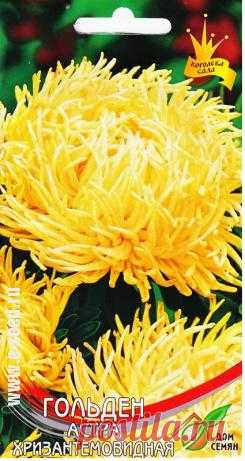 АСТРА ХРИЗАНТЕМОВИДНАЯ ГОЛЬДЕН

Великолепный сорт с крупными соцветиями относится к типу коготковых (краллен) астр. Высота растения до 80 см. Уход: предпочитает солнечное место и нейтральную почву. Полив редкий, обильный. Осторожное разрыхление. Цветение: август-октябрь.