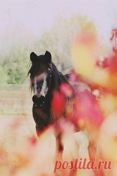 В отпуск хочу! | ВКонтакте