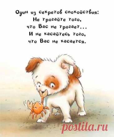 Выпуск №6421 - выпуск анекдотов сайта вокруг смеха