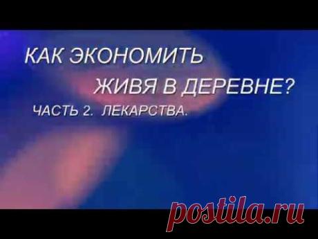 КАК ЭКОНОМИТЬ В ДЕРЕВНЕ. ЧАСТЬ 2. ЛЕКАРСТВА - YouTube