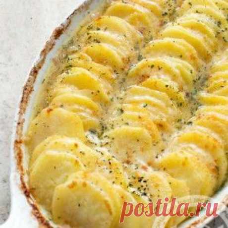Запеканка картофельная : Как приготовить вкусную запеканку из картошки, рецепты запеканки из картофеля . 1001 ЕДА вкусные рецепты с фото!