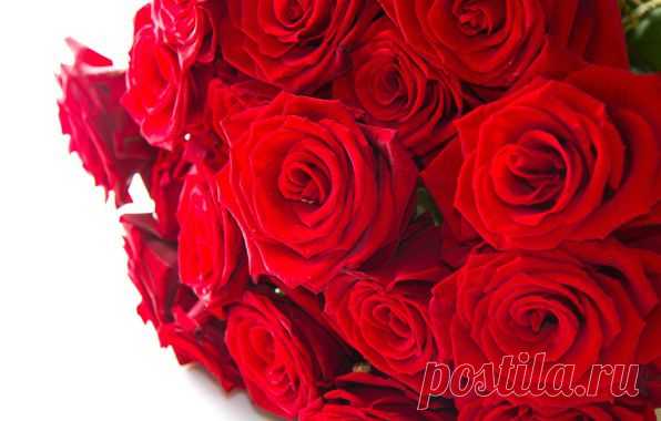 Майский дождь » Рифм нет.ру: цитаты, истории, афоризмы, притчи, статусы