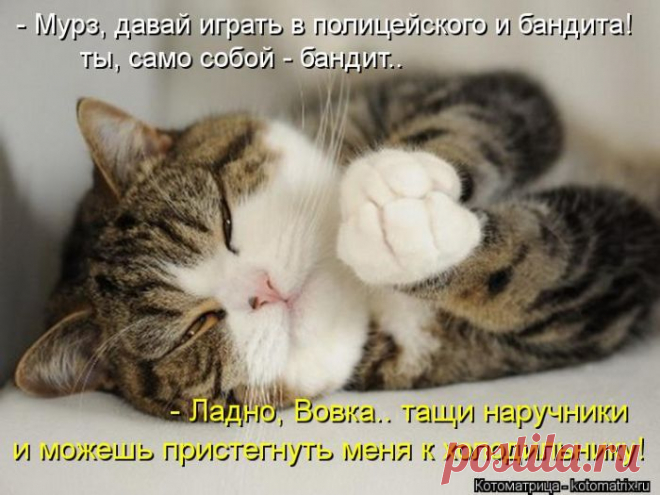 Позитивные котоматрицы (50 фото) » Лента приколов Коляна