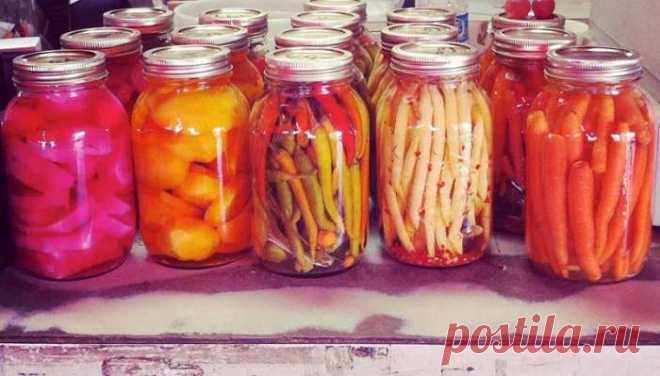 Восстанови микрофлору кишечника: 3 ферментированных продукта, которые избавят от сотни заболеваний. — Домашний уют