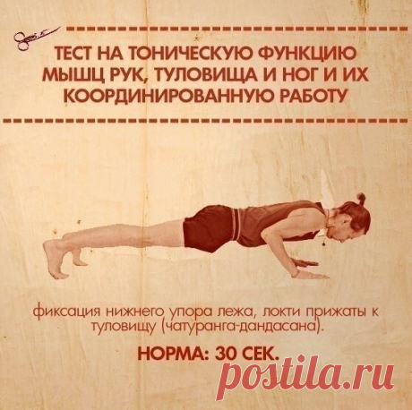 Тесты на функциональную слабость мышц
