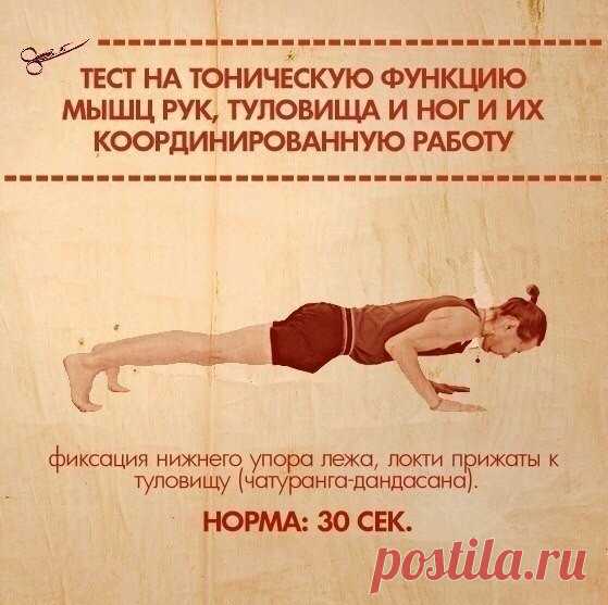 Тесты на функциональную слабость мышц