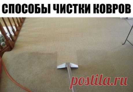 1. Пищевая сода.
Разбрызгать раствор соды по ковру или ковровому покрытию на 30 минут. Далее очистить ковер пылесосом. Ковер станет не только чистым, но и избавится от неприятных запахов.
2. Соль.
Если ковёр (палас) не очень загрязнен, засыпать его обычной мелкой солью. Она хорошо впитывает пыль и придает ворсу блеск. Оставить на 15–20 минут. Хорошо промыть в горячей мыльной воде веник и аккуратно смести соль. Иногда требуется процедуру повторить. Веник промывать каждый ра...