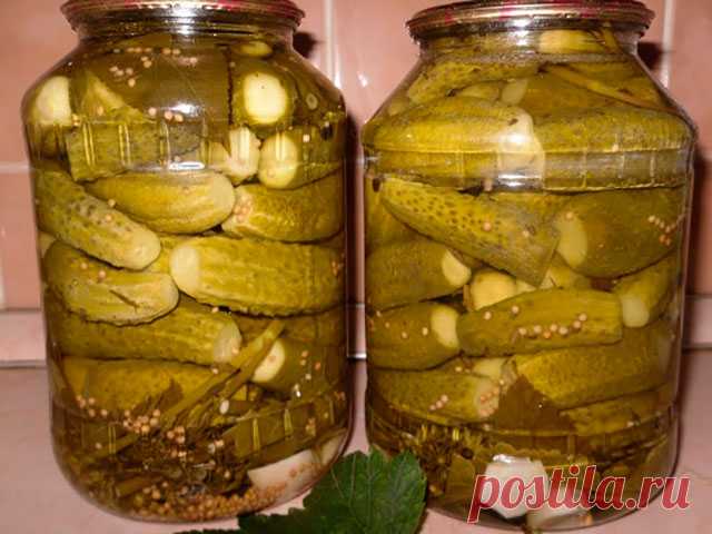 Маринованные «хрустящие» огурчики на зиму