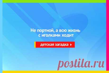 Не портной, а всю жизнь с иголками ходит - Загадка