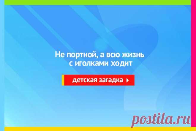 Не портной, а всю жизнь с иголками ходит - Загадка