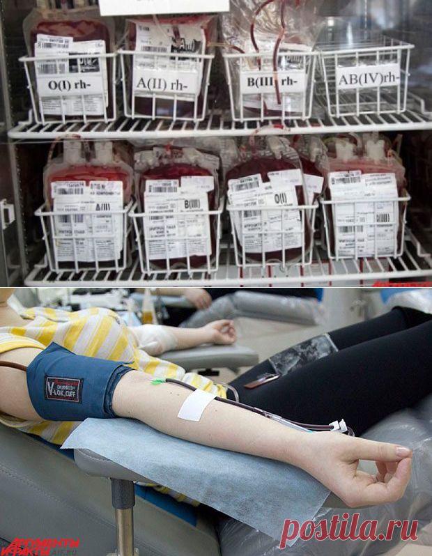 О пользе донорства / Будьте здоровы