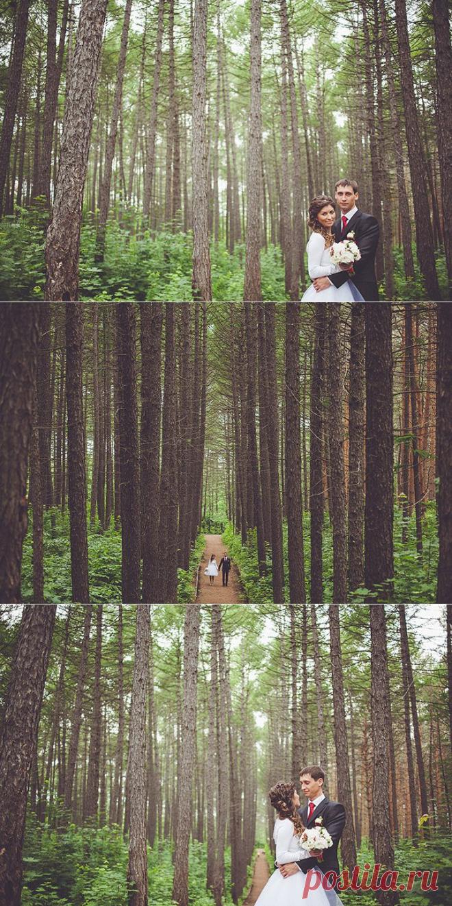 Прогулка для двоих: свадьба Андрея и Лены - WeddyWood