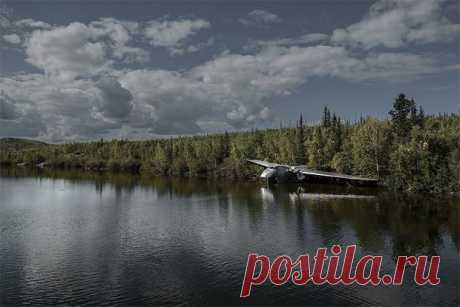 Осколки надежд « Don't Panic. Man Survival Magazine