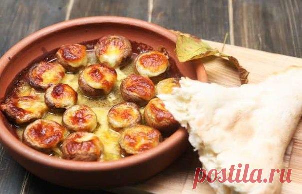 Шампиньоны на кеци с сулугуни 

Если вы хоть раз бывали в Грузии, вам, наверняка, 
доводилось пообедать или поужинать в ресторане 
национальной кухни, с изобилием мясных, рыбных и 
Показать полностью…