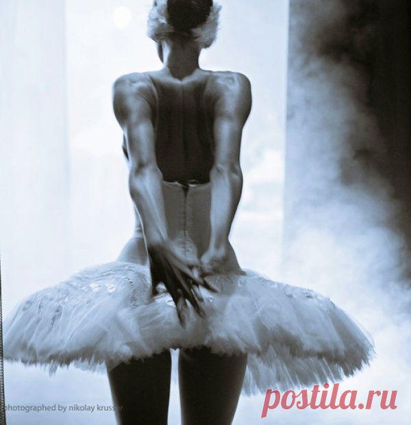 Фото Nikolay Krusser.  |  Прекрасный балет  |  adme.ru