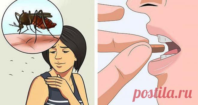 Принимайте этот витамин и вас больше никогда не будут кусать комары! Вот так новость! Лето — это сезон радости для многих людей. Длинные дни, песчаные пляжи с солнечным небом — все это радость и красота — по крайней мере