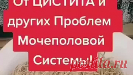 IИзбавляемся от цистита и других проблем с мочеполовой системой