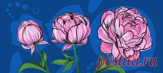 Несоответствие сексуальных желаний сексуальному поведению или осуждение себя за то и другое может свидетельствовать о сексуальной дисгармонии. Несколько советов, как преодолеть эту проблему и сделать свою интимную жизнь более сбалансированной и комфортной.