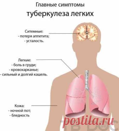 Отказ от пробы манту в 2018 году: образец, правила и советы