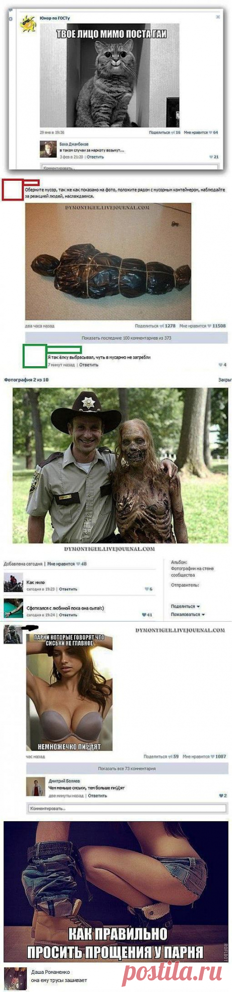 (+1) тема - Юмор из соцсетей | ПРИКОЛЫ