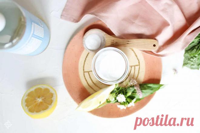 Делаем очищающее средство для туалета по народным рецептам | Высоцкая Life