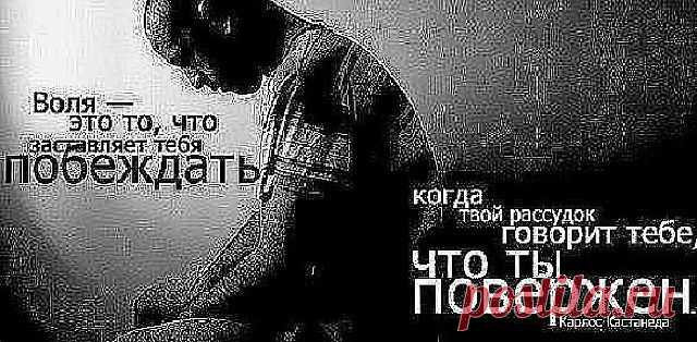 Виктория Репецкая
53 года, Украина, г.Киев
все её фото