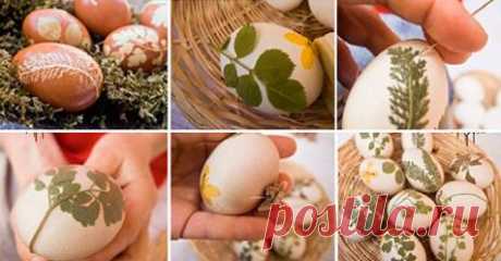(9) Facebook