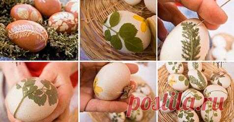 (9) Facebook