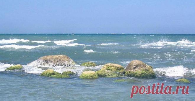 Самые большие озера в мире: 15 водоемов, которые поражают воображение В мире невероятное количество озер. Есть озера, расположенные высоко в горах, а есть — в лесах и в долинах. Вода в них может быть и пресной, и соленой. Некоторые озера существуют уже тысячи лет, но и ...