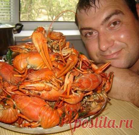 Как правильно варить раков. Раки в пиве, рецепт