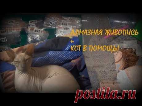 АЛМАЗНАЯ ЖИВОПИСЬ и Кот. Фото в алмазах. БОЛТОЛОГИЯ.