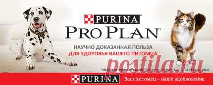 Розничные зоомагазины и пункты выдачи Petshop.ru в Вашем городе