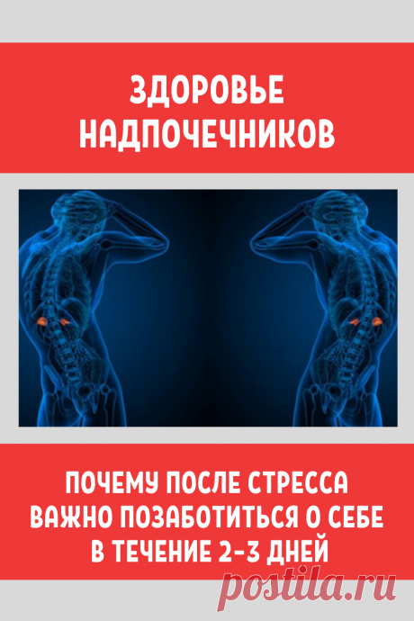 Здоровье надпочечников: Почему после стресса важно позаботиться о себе в течение 2–3 дней...