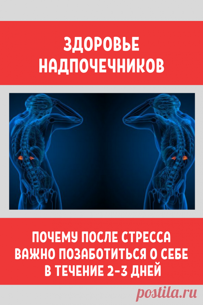 Здоровье надпочечников: Почему после стресса важно позаботиться о себе в течение 2–3 дней...