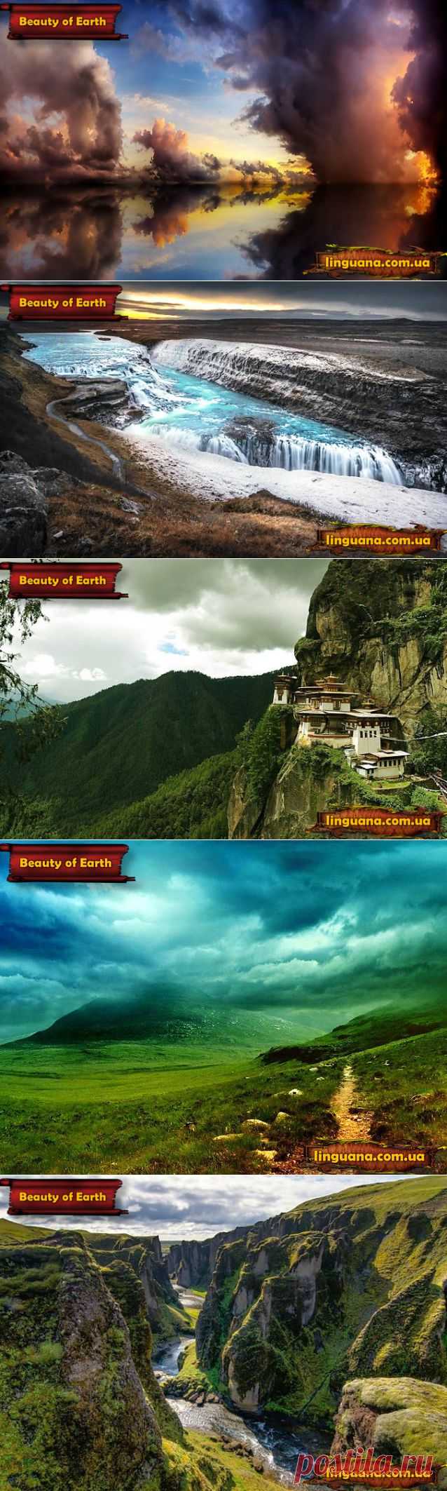 Linguana | Beauty of Earth