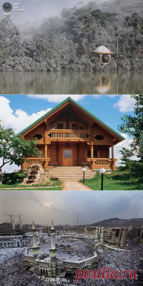 Дневник Вольхина
