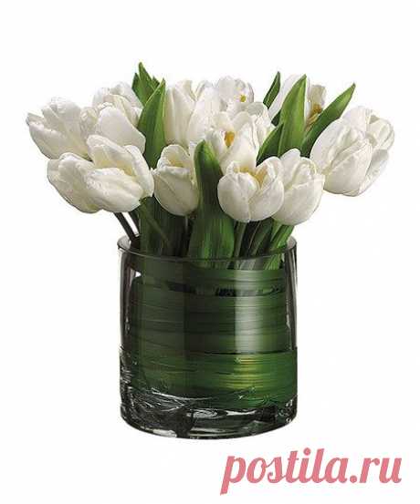 White Tulip Arrangement | zulily