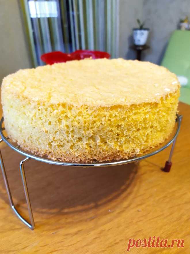 Классический бисквит без разрыхлителя по Советской рецептуре! Как приготовить бисквитное тесто! | Дина, Коллекция Рецептов | Дзен