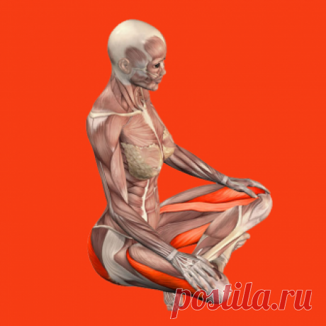 Выдыхаем лишние килограммы! 3 дыхательных упражнения против лишнего веса | Диеты со всего света