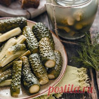 Соленые огурцы. Пошаговый рецепт с фото на Gastronom.ru