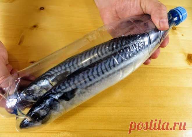 Отрезаем у бутылки горлышко и получаем лучший рецепт домашней копченой скумбрии. Как из замороженной скумбрии приготовить копченую, нежную и мягкую рыбку? Советуем воспользоваться...