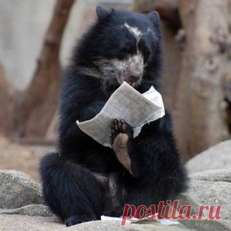Давайте улыбаться вместе!